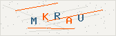Перевірочний код
