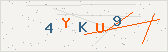 Проверочный код
