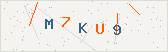 Перевірочний код