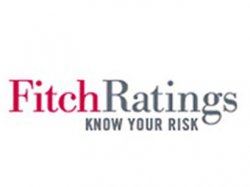 Fitch Ratings прогнозирует замедление роста Украинской экономики
