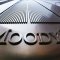 Согласно отчету Moody's у Донецкстали негативный прогноз