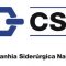 Бразильская CSN инвестирует в развитие производства более 1,5 млрд долларов в 2013 году