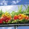 Inexpensive outdoor advertising in Moscow