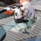 How to deal with cracks in car glass