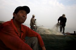 Прибыль промышленных предприятий Китая подскочила на 14 процентов