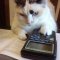 News in Accounting