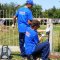Rules for the care of metal fences