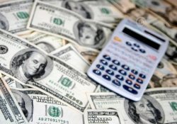 The dollar on the interbank market of Ukraine has updated its historical maximum
