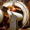 СП EUROPIPE является основным поставщиком для первой морской нити трубопровода Южный поток