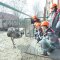 Запорожсталь отчиталась о природоохранных мероприятиях в Запорожье