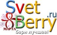 Покупаем люстру в Москве в магазине SvetBerry