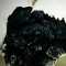 What determines the cost of coal