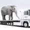 Oversized cargo can be delivered anywhere