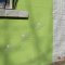 Tips for insulating a private house