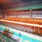 Baosteel начинает производство на новом заводе в Чжаньцзян