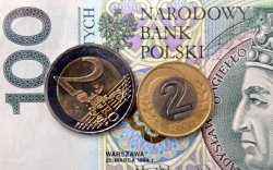 Польша не собирается вводить евро