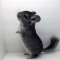 Prerequisites for chinchillas