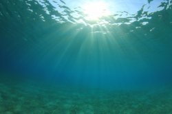 Ученые научились извлекать уран из морской воды