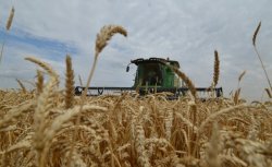 USDA пересматривает прогноз экспорта зерна для Украины на 2016/17