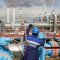 Газпром увеличил экспорт газа в Европу на 14 процентов