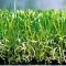 Introducing Artificial Grass