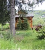 Карпатский вояж с интересным досугом