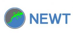 Разновидности и особенности выбора гантелей