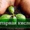 Інновації в сегменті добрив