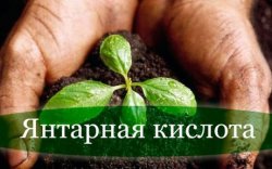 Инновации в сегменте удобрений