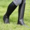 Horse riding shoes - how to choose the right one?