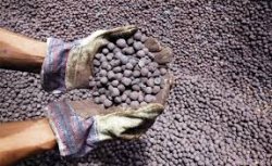 Ferrexpo pellet export growth