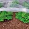 What is agrofibre