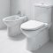 The toilet is the main element of any bathroom