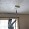 Wall and ceiling paints