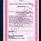 Obtaining a license from the Ministry of Emergency Situations