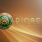 Бонусная программа онлайн казино Риобет