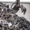 Scrap metal acceptance