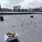 Єврорубероид або пвх мембрана, що краще і як визначитися?