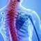 An effective remedy for the treatment of osteoarthritis of peripheral joints and spine