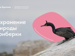 На платформе Добро.Университет опубликован обучающий видеокурс для гидов и волонтёров природного парка «Териберка»