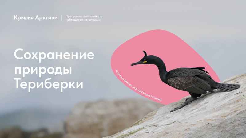 Welcome to the platform.</p><p>The University has published a training video course for guides and volunteers of the Teriberka Nature Park
