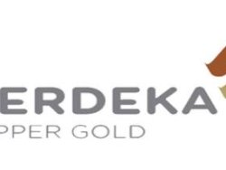 Золотодобытчик в крупнейшем IPO Индонезии в этом году