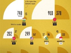 В то время как Индия и Китай доминируют в спросе на обе страны сталкиваются с разными сценариями при сравнении потребления внутри страны