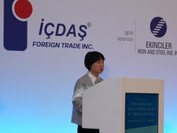 Baosteel в IREPAS: долгосрочные перспективы спроса солидно, несмотря на краткосрочные сбои