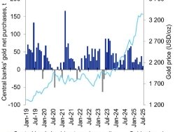 Мировые центральные банки в июле приобрели чистыми 10 тонн золота, против 38 тонн в июне, что отмечает 26-й подряд месяц накопления резервов