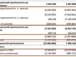 Компания «Селигдар» опубликовала отчетность за первое полугодие 2025 г: финансовые результаты остаются нестабильными и вызывают ряд вопросов