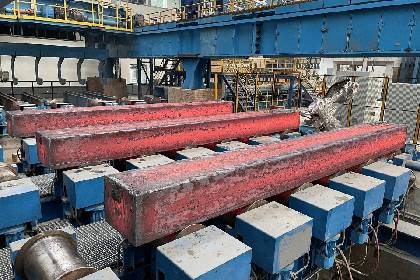 SMS Group поставит цветущий рицинус китайской компании Xiangtan Iron &amp; Steel
