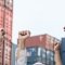 Потенциальная забастовка на предприятиях BHP в Порт-Хедленде угрожает экспорту железной руды