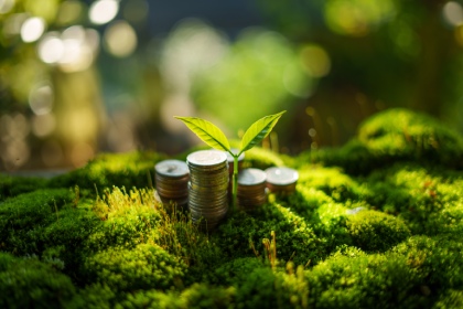 Turkey launches National Green Finance Strategy to support the goal of zero emissions by 2053