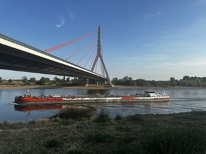 Німецькі переробники попереджають, що низький рівень води в Рейні загрожує логістиці виробництва сталі